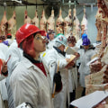 Judging Criteria for Contests in Central Texas: A Comprehensive Guide